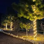 La Baifa 圣克鲁斯-德特内里费
