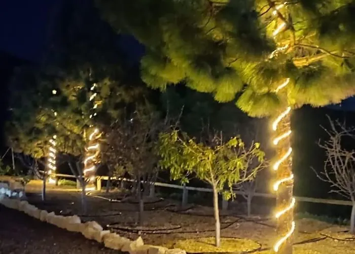 La Baifa Santa Cruz de Tenerife